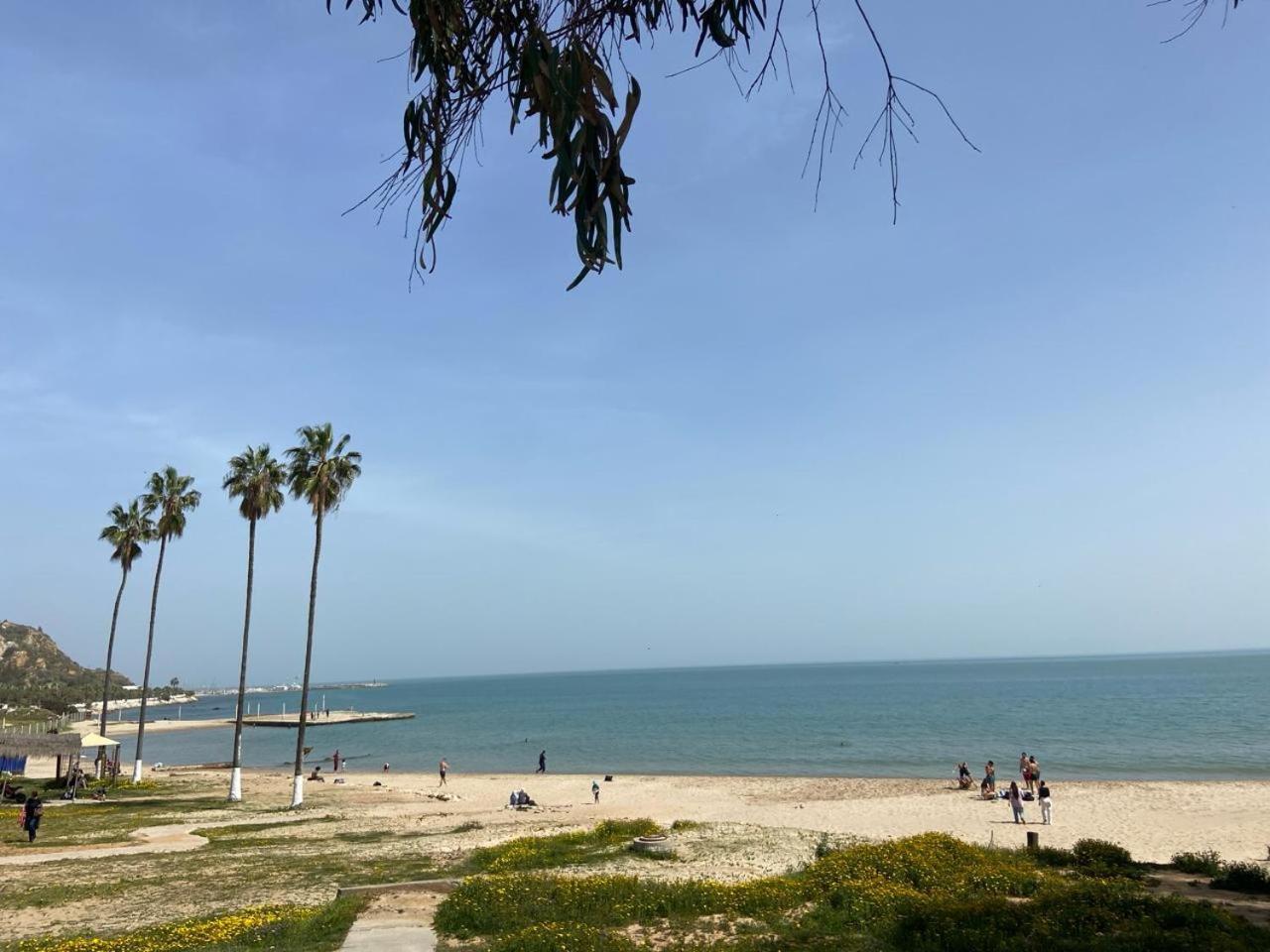 Marsa-Sidi Bousaid Cosy Authentic Apartment ラ・マルサ エクステリア 写真
